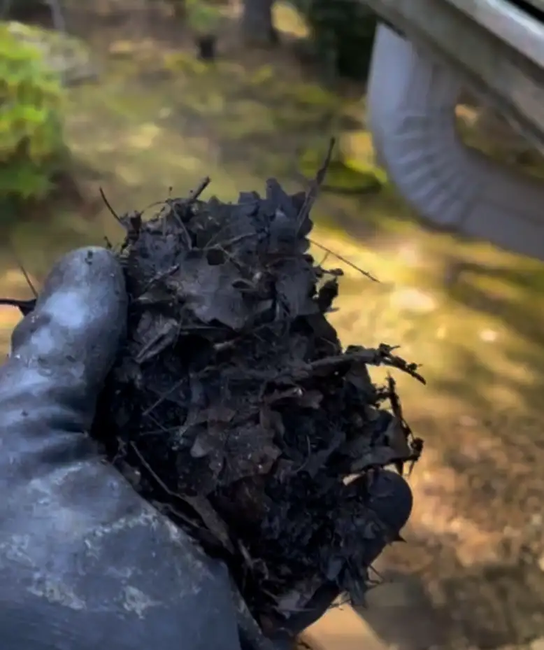 gutter cleaning services tampa fl